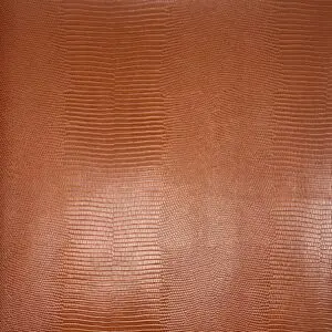 Imperial Lizard Hellbraun Kunstleder als Meterware mit luxuriöser Eidechsenprägung für Taschen und kreative Nähprojekte